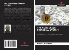 THE CONGOLESE FINANCIAL SYSTEM的封面