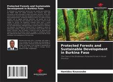 Borítókép a  Protected Forests and Sustainable Development in Burkina Faso - hoz