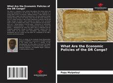 Copertina di What Are the Economic Policies of the DR Congo?