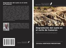 Degradación del suelo en el norte de Camerún kitap kapağı