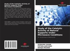 Обложка Study of the Catalytic Activity of Natural Supports Under Microwave Conditions
