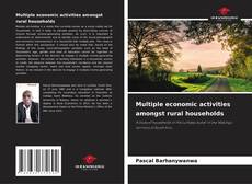 Borítókép a  Multiple economic activities amongst rural households - hoz