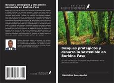 Bosques protegidos y desarrollo sostenible en Burkina Faso的封面