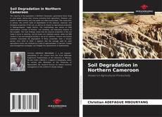 Copertina di Soil Degradation in Northern Cameroon