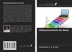 Almacenamiento de datos的封面