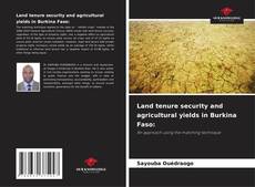 Couverture de Land tenure security and agricultural yields in Burkina Faso: