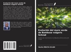 Evolución del muro verde de Bambusa vulgaris Schrad的封面