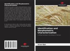Borítókép a  Identification and Morphometric Characterization - hoz