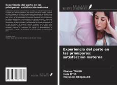 Обложка Experiencia del parto en las primíparas: satisfacción materna