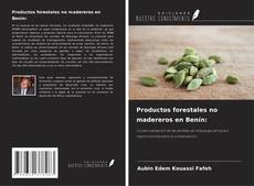 Capa do livro de Productos forestales no madereros en Benín: 