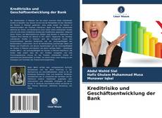 Kreditrisiko und Geschäftsentwicklung der Bank的封面