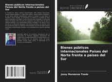 Bienes públicos internacionales Países del Norte frente a países del Sur kitap kapağı