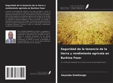 Couverture de Seguridad de la tenencia de la tierra y rendimiento agrícola en Burkina Faso: