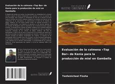 Portada del libro de Evaluación de la colmena «Top Bar» de Kenia para la producción de miel en Gambella