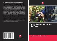 Buchcover von A caça no Haho, no sul do Togo