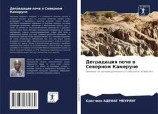Buchcover von Деградация почв в Северном Камеруне