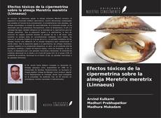 Обложка Efectos tóxicos de la cipermetrina sobre la almeja Meretrix meretrix (Linnaeus)