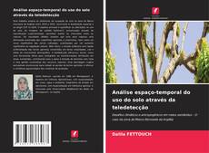 Buchcover von Análise espaço-temporal do uso do solo através da teledetecção