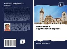Copertina di Полигиния и африканская церковь