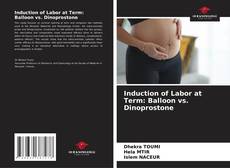 Bookcover of Induction of Labor at Term: Balloon vs. Dinoprostone
