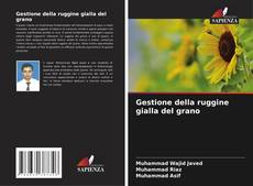 Capa do livro de Gestione della ruggine gialla del grano 