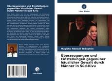 Überzeugungen und Einstellungen gegenüber häuslicher Gewalt durch Männer in Süd-Kivu kitap kapağı