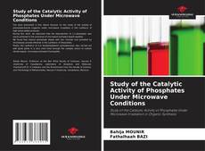 Bookcover of Study of the Catalytic Activity of Phosphates Under Microwave Conditions