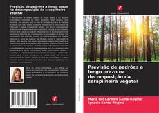 Buchcover von Previsão de padrões a longo prazo na decomposição da serapilheira vegetal
