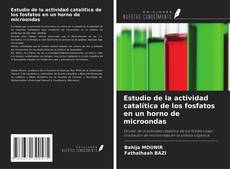 Couverture de Estudio de la actividad catalítica de los fosfatos en un horno de microondas