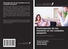 Обложка Participación de los hombres en los cuidados posparto