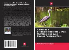 Buchcover von Ameaças à Biodiversidade das Zonas Húmidas e as suas Causas Fundamentais
