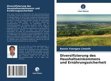 Couverture de Diversifizierung des Haushaltseinkommens und Ernährungssicherheit