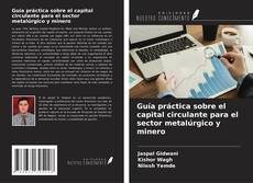 Guía práctica sobre el capital circulante para el sector metalúrgico y minero的封面