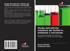 Studio dell'attività catalitica dei fosfati in ambiente a microonde kitap kapağı