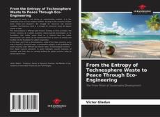 Borítókép a  From the Entropy of Technosphere Waste to Peace Through Eco-Engineering - hoz