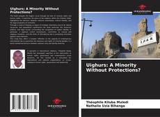 Uighurs: A Minority Without Protections?的封面