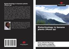 Обложка Biotechnology in banana plants (Musa sp)