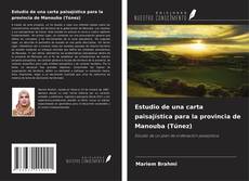 Estudio de una carta paisajística para la provincia de Manouba (Túnez) kitap kapağı