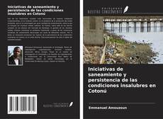 Bookcover of Iniciativas de saneamiento y persistencia de las condiciones insalubres en Cotonú