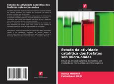 Buchcover von Estudo da atividade catalítica dos fosfatos sob micro-ondas