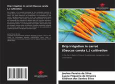 Borítókép a  Drip irrigation in carrot (Daucus carota L.) cultivation - hoz