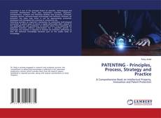 Buchcover von PATENTING - Principles, Process, Strategy and Practice