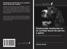 Обложка Pasteurella multocida en la cavidad bucal de perros y gatos