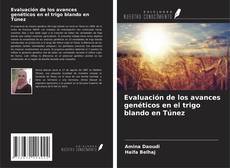 Bookcover of Evaluación de los avances genéticos en el trigo blando en Túnez