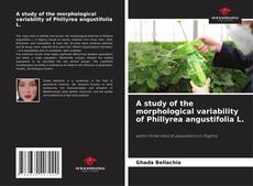 Borítókép a  A study of the morphological variability of Phillyrea angustifolia L. - hoz