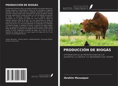 Buchcover von PRODUCCIÓN DE BIOGÁS