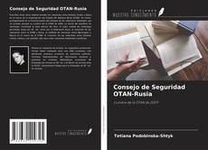 Capa do livro de Consejo de Seguridad OTAN-Rusia 