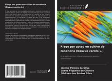 Обложка Riego por goteo en cultivo de zanahoria (Daucus carota L.)