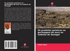 Copertina di Os produtos químicos na garimagem de ouro no sudeste do Senegal