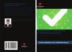Copertina di Econometric Forecasting of Banking Indicators